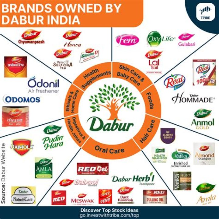 What does the Dabur logo mean?