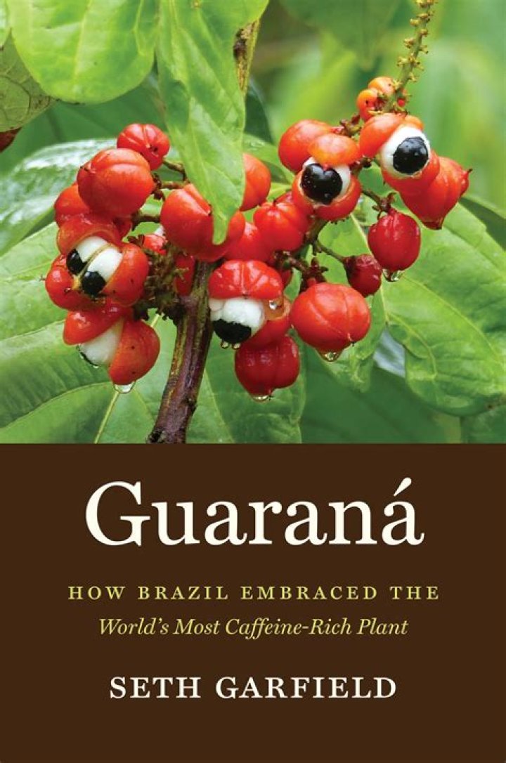 What does the guarana plant look like?