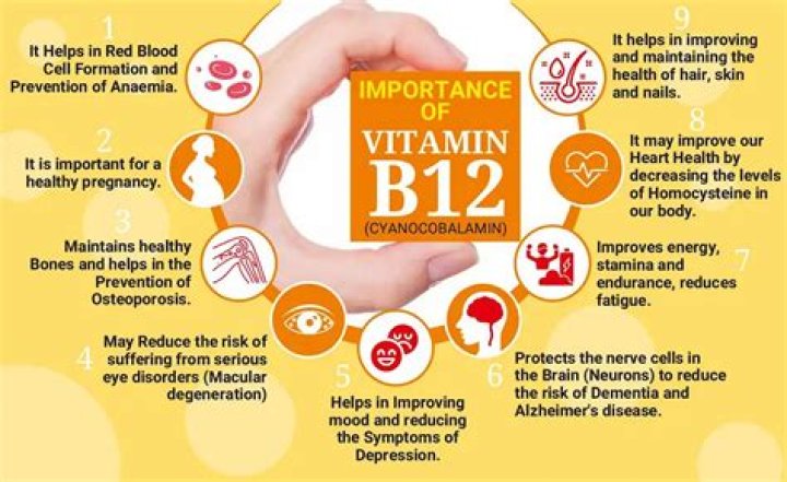 What function does vitamin B12 do?