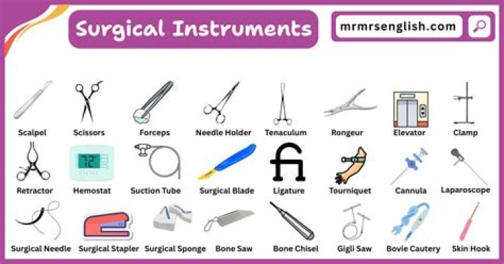 What instruments are similar to the mandolin?