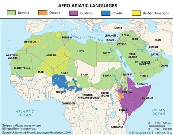 What is a Hamitic language?