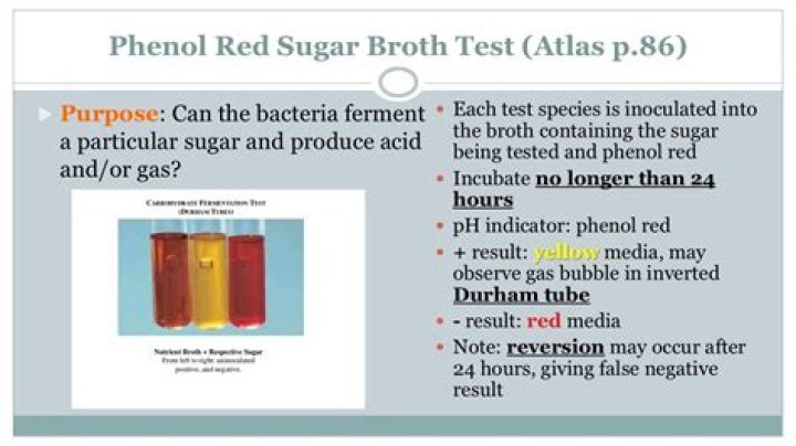 What is a positive phenol red test?