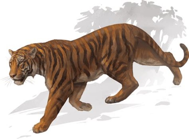 What is a Weretiger called?