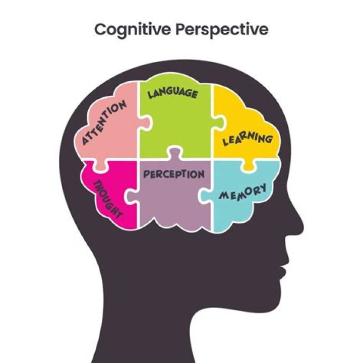 What is an example of cognitive perspective in psychology?