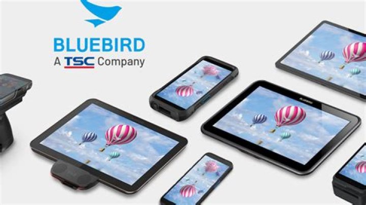 What is bluebird technology?
