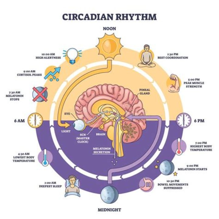 What is circadian medication used for?