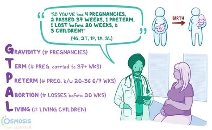 What is g2p1 pregnancy?