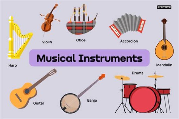 What is instrument in a sentence?