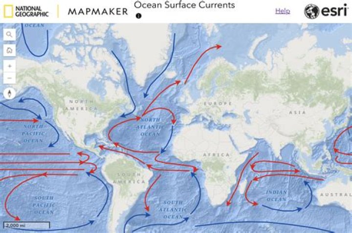 What is major surface ocean currents?