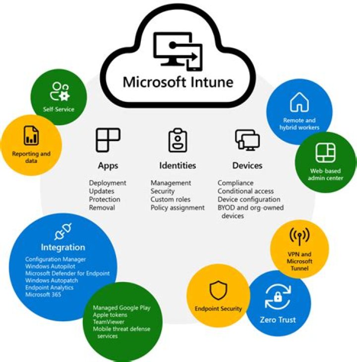 What is Microsoft Academic license?