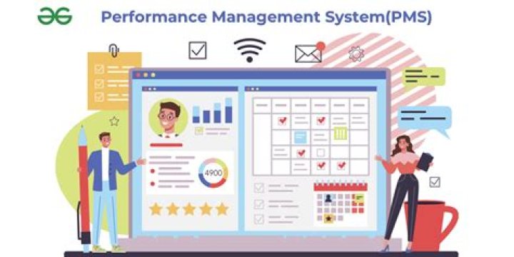 What is performance management system software?