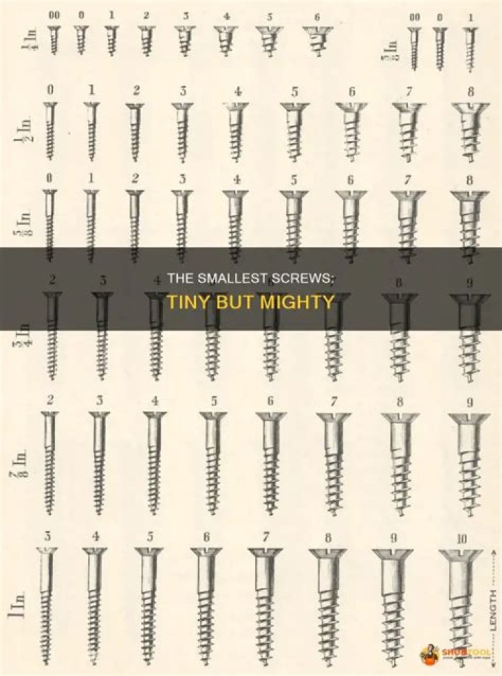 What is smallest screw size?