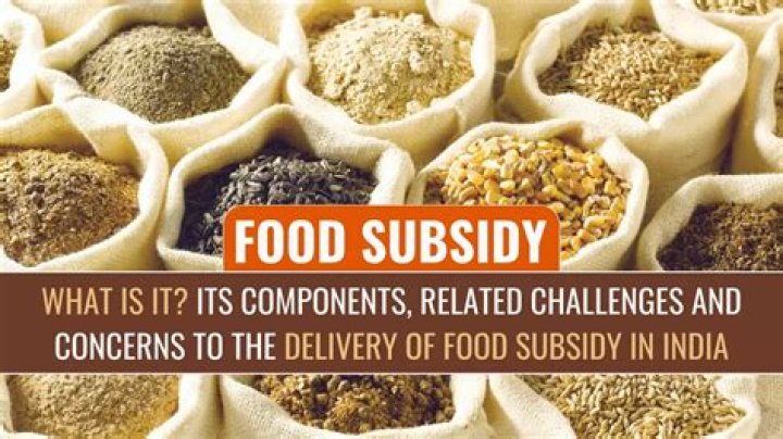 What is subsidized food service?