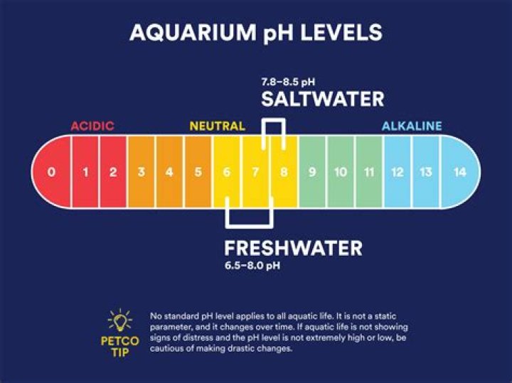 What is the average pH level of water?