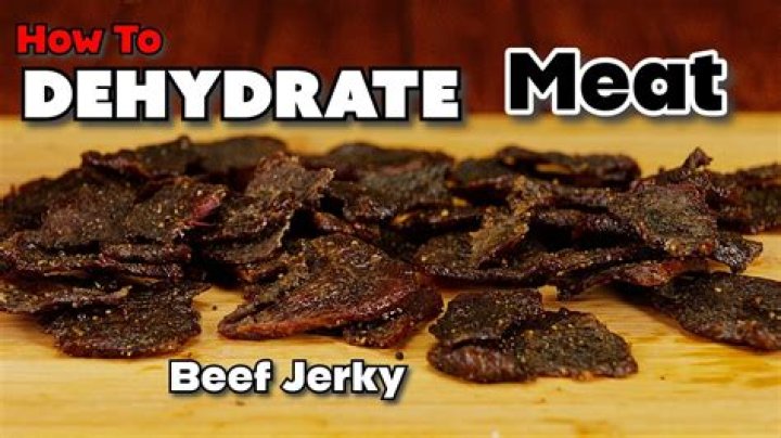 What is the best dehydrator to make beef jerky?