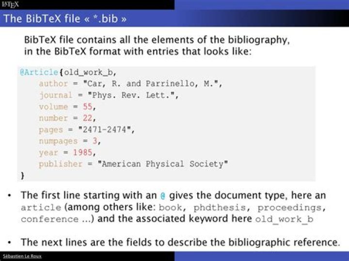What is the BibTeX file format?