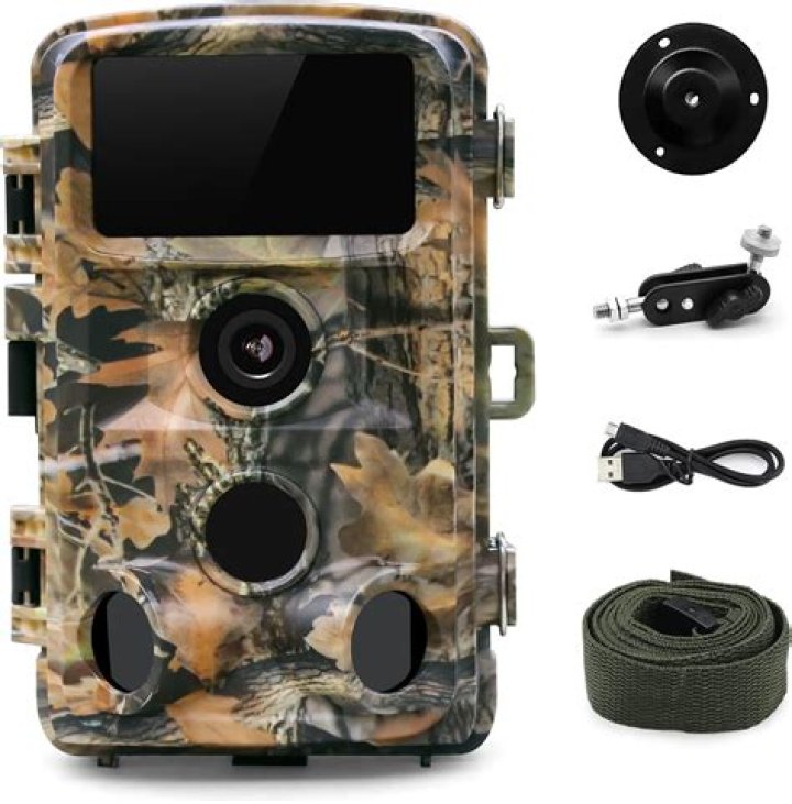 What is the difference between a trail camera and a security camera?