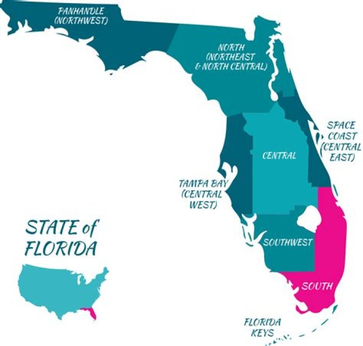 What is the Florida statute for battery?