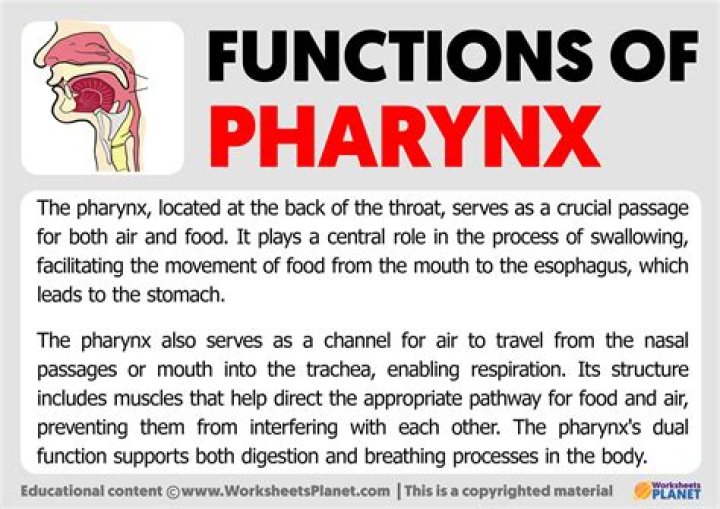 What is the function of Yaxchilan?