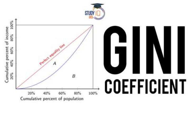 What is the income Gini coefficient?
