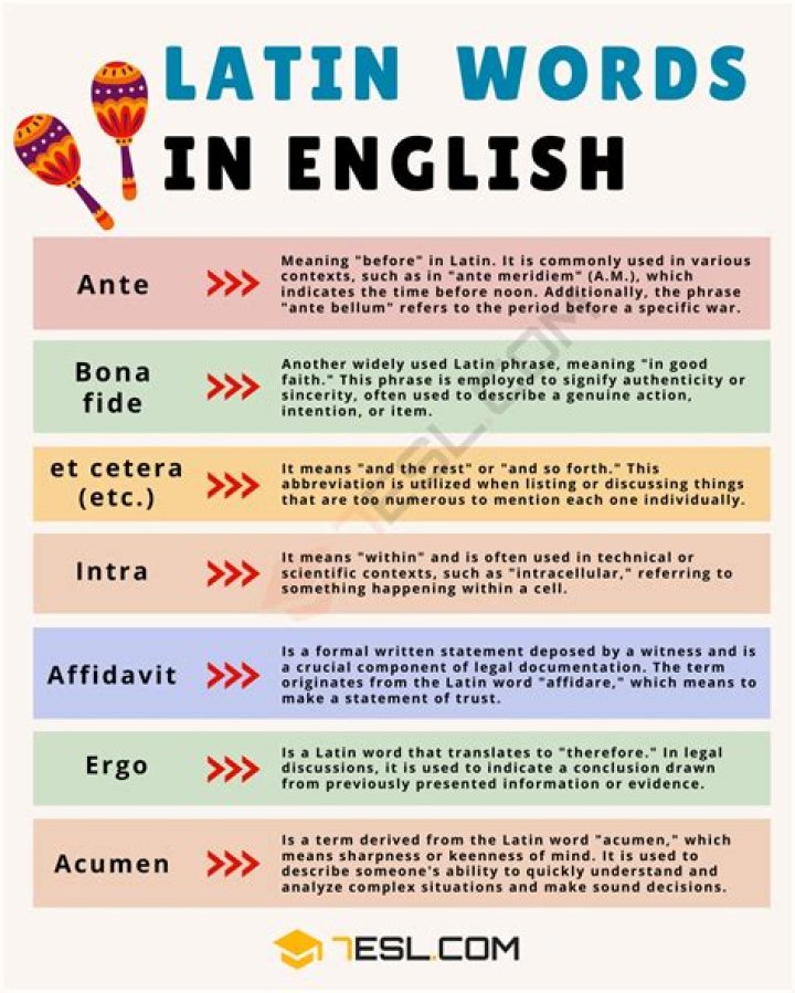What is the Latin word respect?