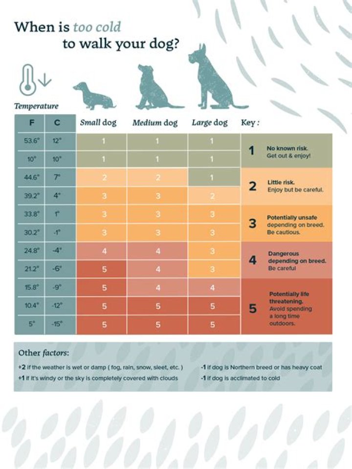 What is the legal age to walk a dog?
