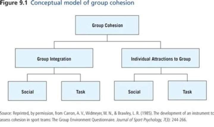 What is the meaning of group cohesion?
