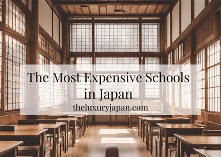 What is the most expensive school in Abu Dhabi?