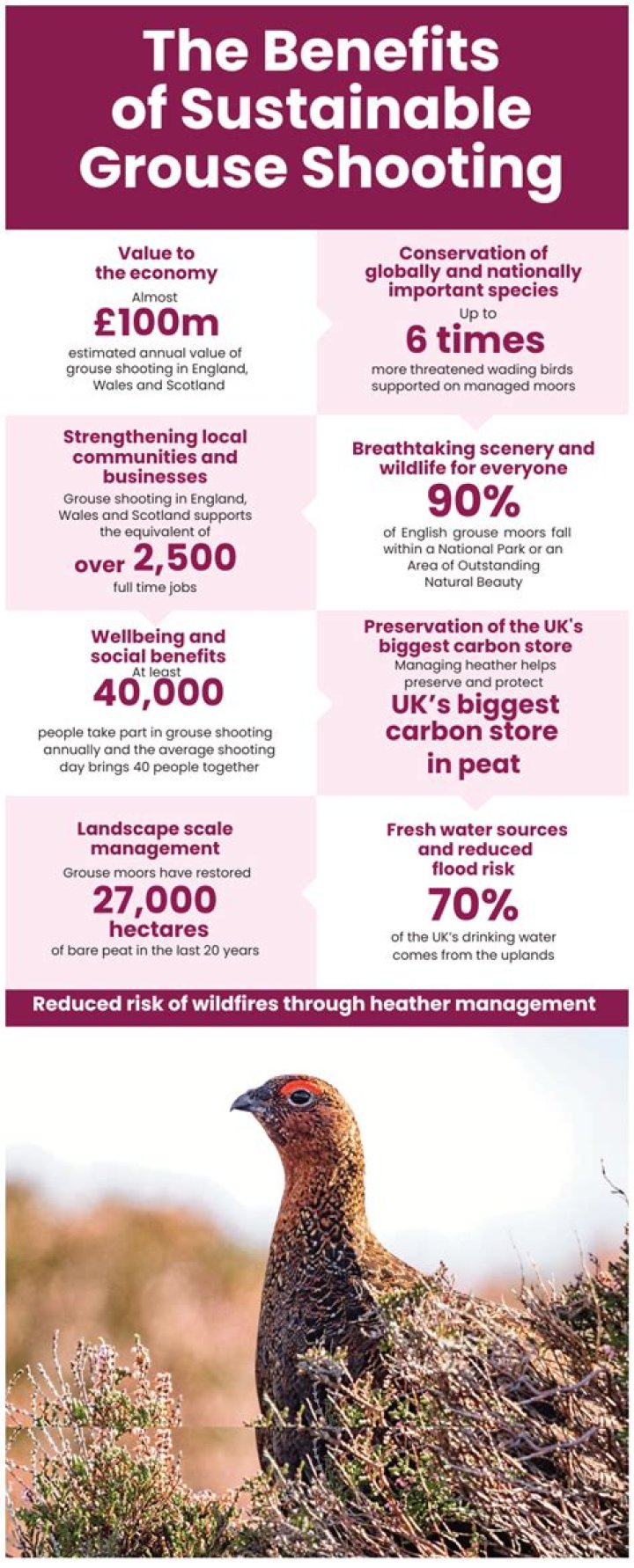 What is the season for grouse shooting?