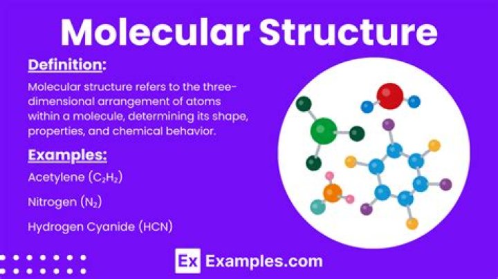 What is the structure of a fat molecule?