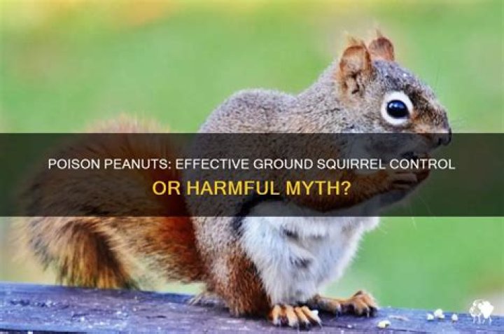 What poison kills ground squirrels?
