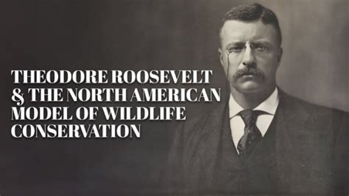 What role did Theodore Roosevelt play in American imperialism?