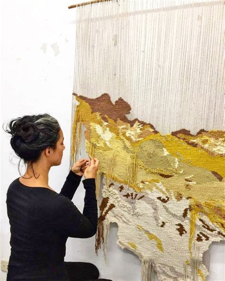 What techniques does Ana Teresa Barboza use?