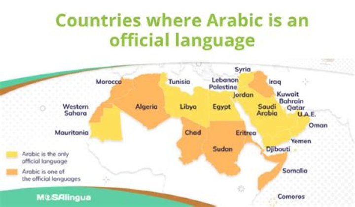 What type of Arabic do they speak in Egypt?