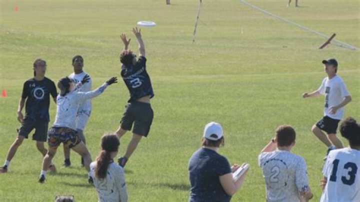 What weight frisbee is best for the beach?