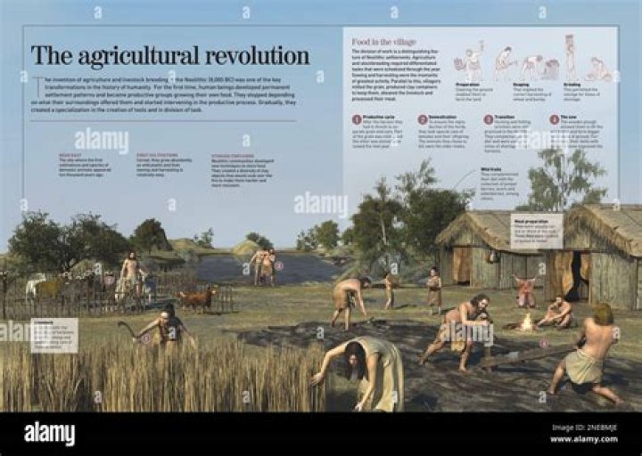 What were some agricultural techniques used in ancient times?