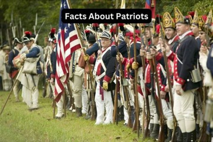 What were the patriot forces called?