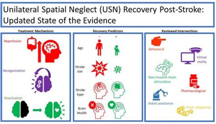 Where does spatial neglect occur?