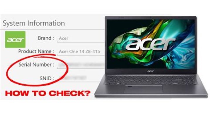 Where is the Bandicam serial number?