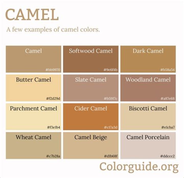 Which Colour is camel?