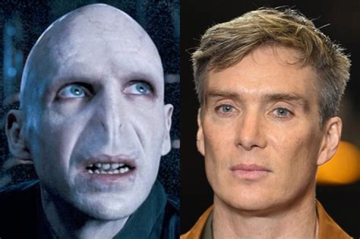 Who plays Voldemort Ralph Fiennes?