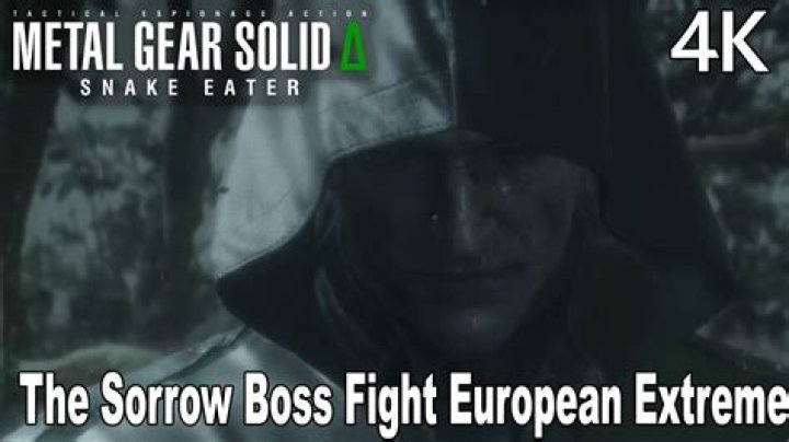 Why does the boss kill the sorrow?