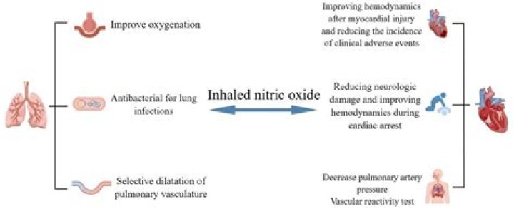 Why is nitrous oxide contraindicated in pneumothorax?